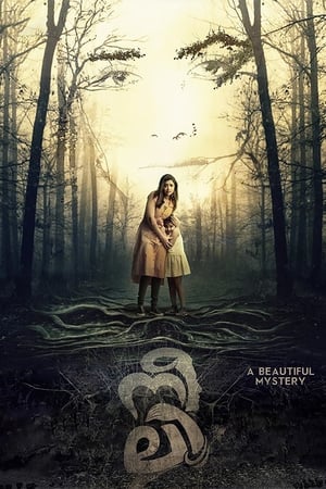 Neeli (2018) (Hindi – Malayalam) Dual Audio | Hindi Dubbed Movie UnCut HDRip [1.2GB]