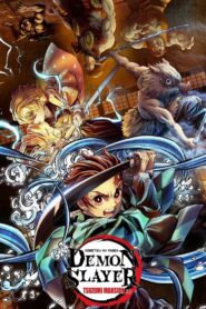 Demon Slayer: Kimetsu no Yaiba – Tsuzumi Mansion Arc